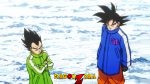 Goku_Vegeta_Sab_58d27adc-591b-405e-8c4d-b4320f7cccc3.jpg