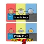 TaillePuce_9b97c6c4-eb72-45ea-a68c-200aa9eb7298.jpg
