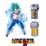 Vegeta_2.jpg