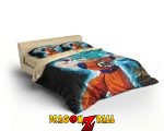 draps-dragon-ball-02.jpg